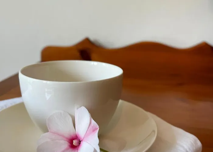 Karolinka 3* Леба